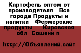 Картофель оптом от производителя - Все города Продукты и напитки » Фермерские продукты   . Кировская обл.,Сошени п.